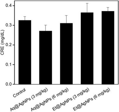 Diospyros malabarica Fruit Extract Derived Silver Nanoparticles: A Biocompatible Antibacterial Agent